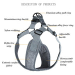 Reflective Dog Harness - Step In Harness - Night Time Visibility InfiniteWags 