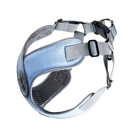 Reflective Dog Harness - Step In Harness - Night Time Visibility InfiniteWags Blue Large 