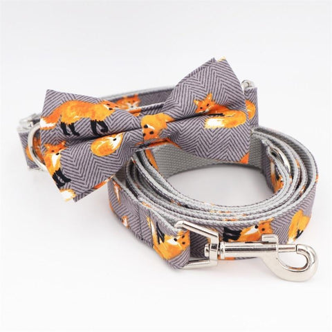 The Foxy Collar and Leash Set InfiniteWags S(20-30cm Length) 