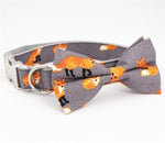 The Foxy Collar and Leash Set InfiniteWags 