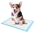 Dog Potty Training Pads - Super Absorbent InfiniteWags 