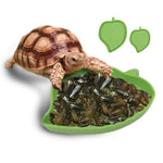 Reptile Feeding Basin - Leaf Shape InfiniteWags 