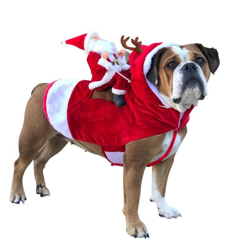 Dog Riding Santa Costume - Dog Christmas Costumes InfiniteWags 