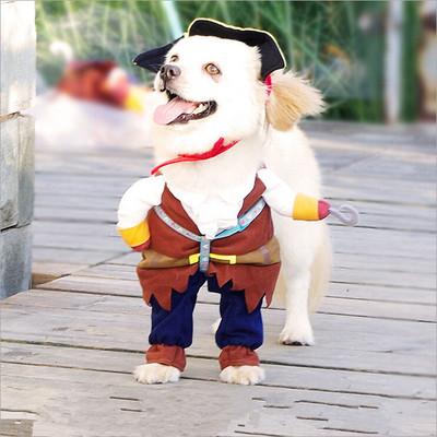 Pirate Dog Costume - 2 Piece - Dog Halloween Costumes InfiniteWags 