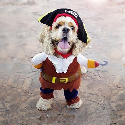 Pirate Dog Costume - 2 Piece - Dog Halloween Costumes InfiniteWags 