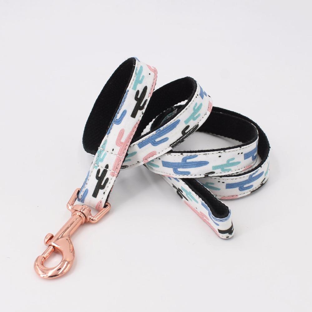 Palm Desert Collar and Leash Set InfiniteWags 
