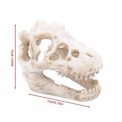 Dinosaur Skull Aquarium Ornament - Aquarium Decor InfiniteWags 