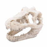 Dinosaur Skull Aquarium Ornament - Aquarium Decor InfiniteWags 
