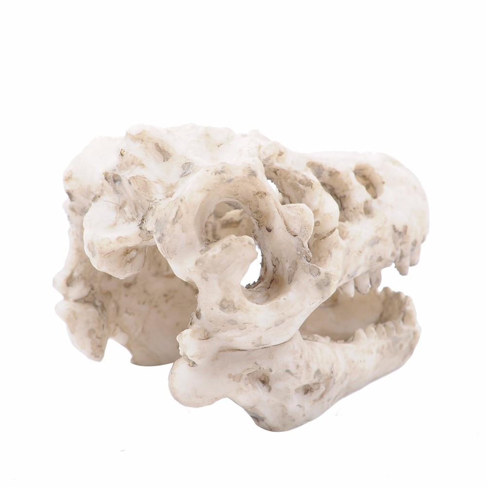 Dinosaur Skull Aquarium Ornament - Aquarium Decor InfiniteWags 
