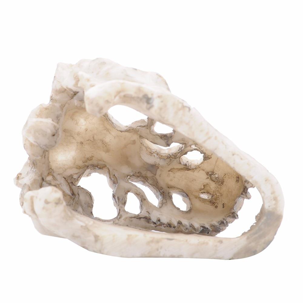 Dinosaur Skull Aquarium Ornament - Aquarium Decor InfiniteWags 