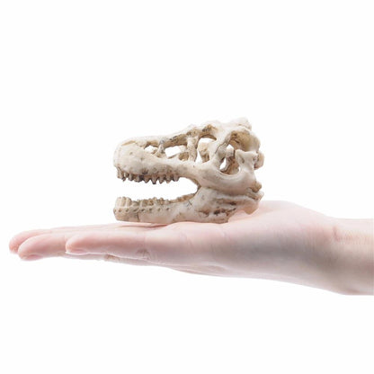 Dinosaur Skull Aquarium Ornament - Aquarium Decor InfiniteWags 