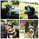 Waterproof Dog Goggles - Eye-wear Pet Sunglasses InfiniteWags 