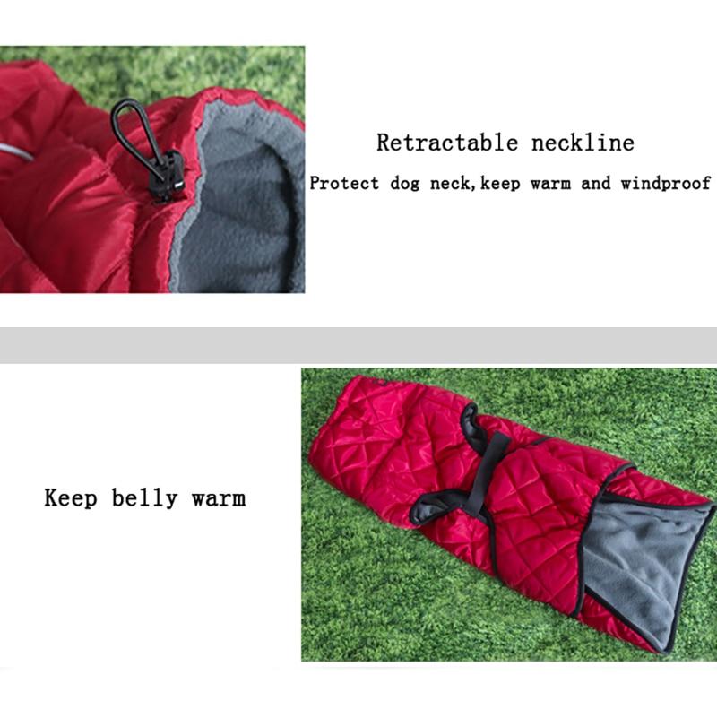 Waterproof Outdoor Dog Jacket - Windbreaker InfiniteWags 