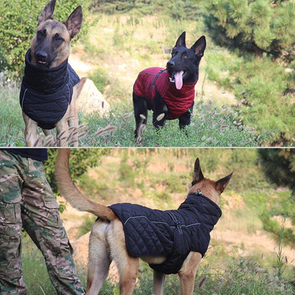 Waterproof Outdoor Dog Jacket - Windbreaker InfiniteWags 