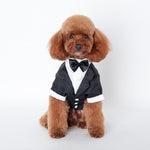 Dog Tuxedo - Bow Tie Dog Costume InfiniteWags 
