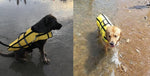 Dog Life Jacket - Swimming Safety Vest InfiniteWags 
