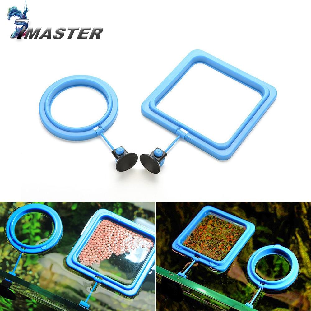 Aquarium Feeding Ring - Floating Fish Food Tray InfiniteWags 