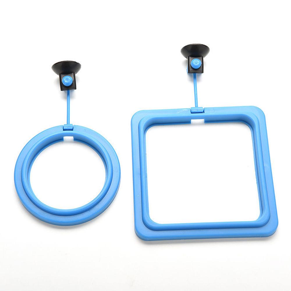 Aquarium Feeding Ring - Floating Fish Food Tray InfiniteWags 