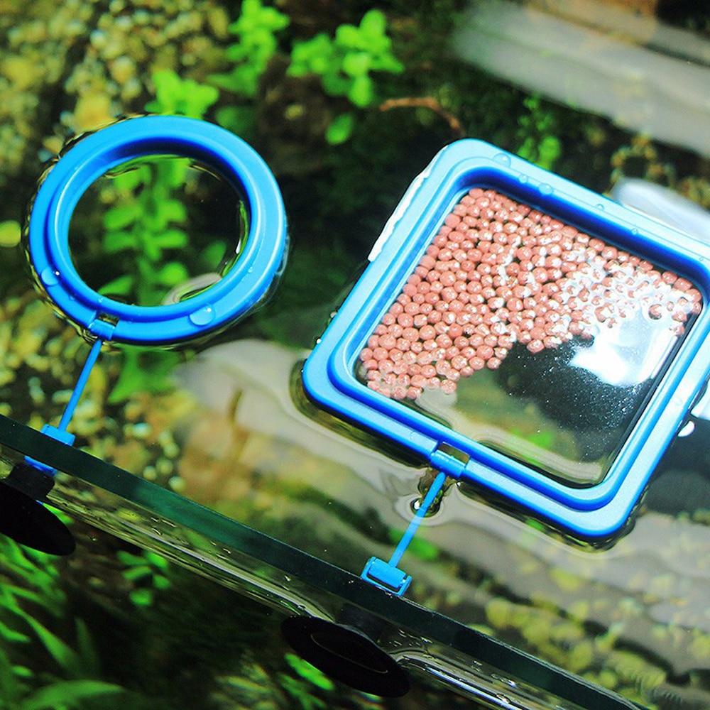 Aquarium Feeding Ring - Floating Fish Food Tray InfiniteWags 