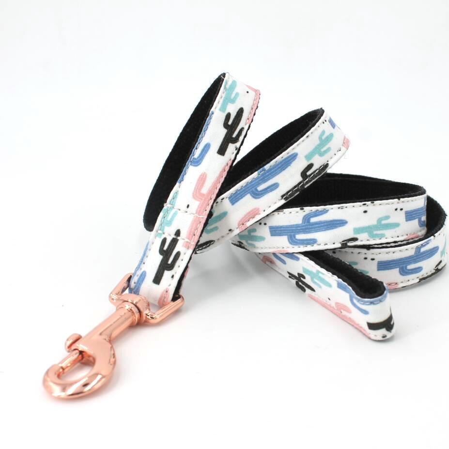 Palm Desert Collar and Leash Set InfiniteWags 