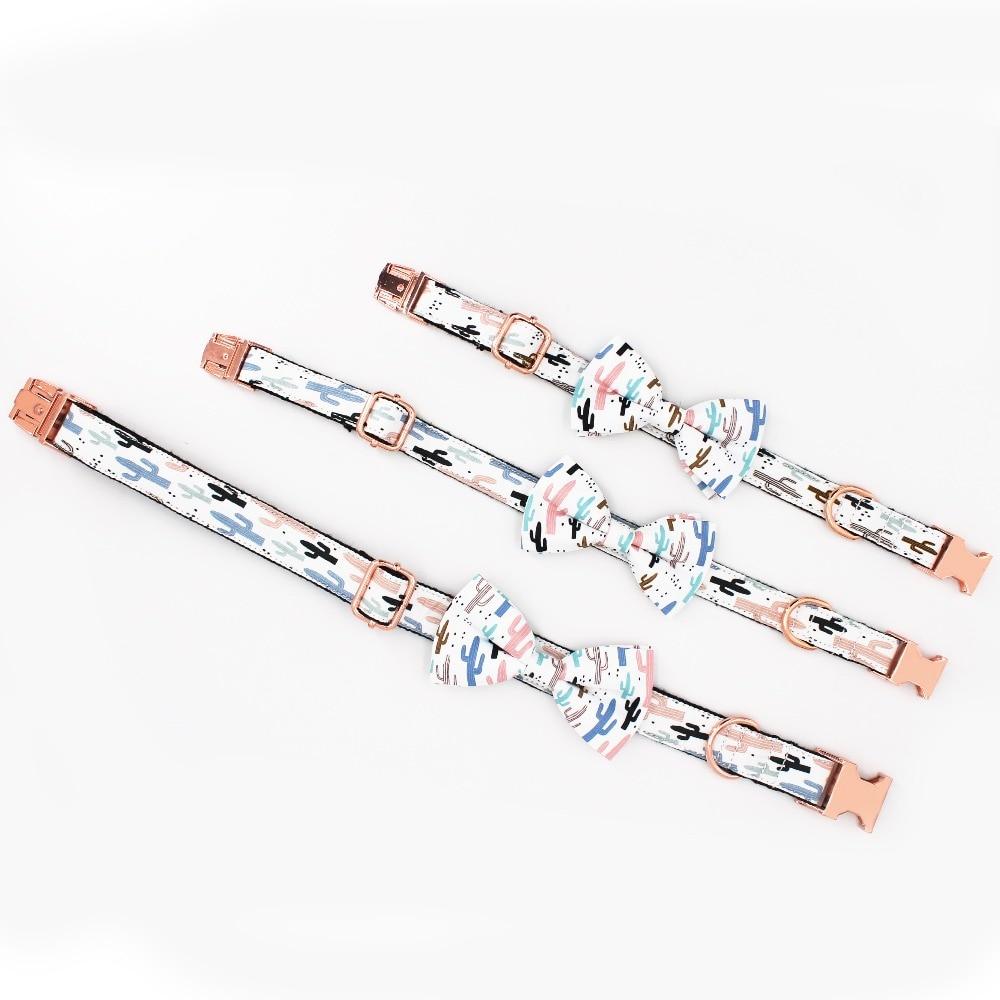 Palm Desert Collar and Leash Set InfiniteWags 