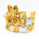 Gold Mixer Collar and Leash Set InfiniteWags 