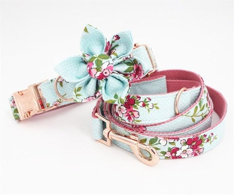 Floral Rose Collar and Leash Set InfiniteWags XL (43-66cm Length) 