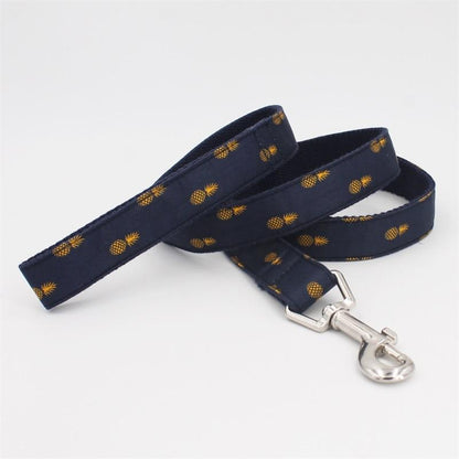 Pineapple Delight Collar InfiniteWags 
