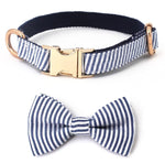 Classy Jack Collar and Leash Set InfiniteWags 