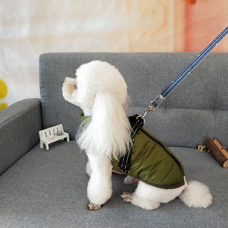 Dog Harness Coat - InfiniteWags Harness Dog Jacket InfiniteWags 