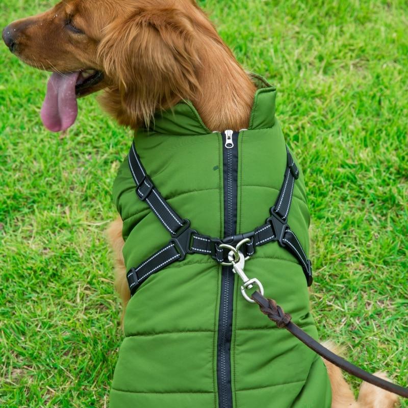 Dog Harness Coat - InfiniteWags Harness Dog Jacket InfiniteWags 