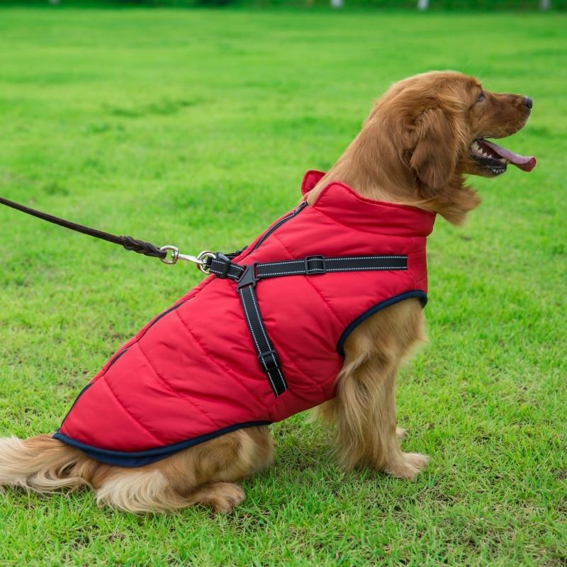 Dog Harness Coat - InfiniteWags Harness Dog Jacket InfiniteWags 