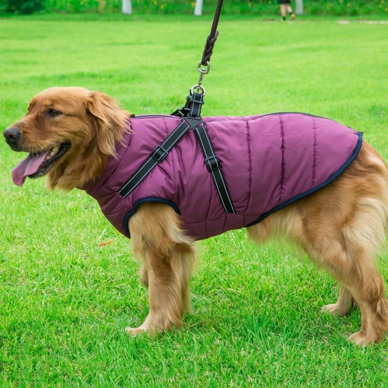 Dog Harness Coat - InfiniteWags Harness Dog Jacket InfiniteWags 