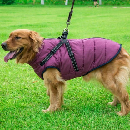 Dog Harness Coat - InfiniteWags Harness Dog Jacket InfiniteWags 