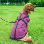 Dog Harness Coat - InfiniteWags Harness Dog Jacket InfiniteWags 