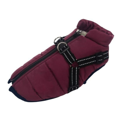Dog Harness Coat - InfiniteWags Harness Dog Jacket InfiniteWags purple M 