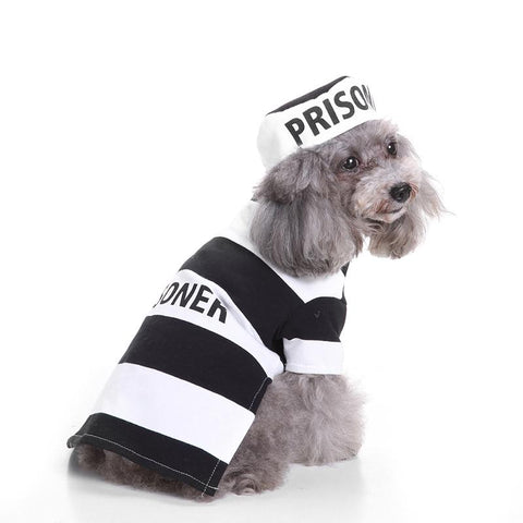 Prisoner Dog Costume Cosplay - Halloween Dog Costumes InfiniteWags L 
