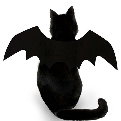 Cat Bat Wing Costume - Cat Halloween Costumes InfiniteWags 