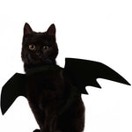 Cat Bat Wing Costume - Cat Halloween Costumes InfiniteWags 