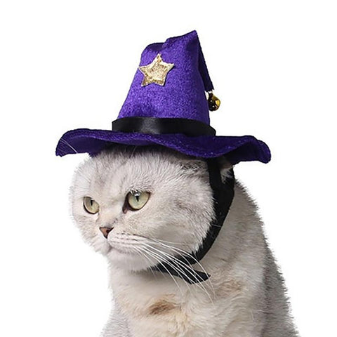 Wizard Cat Hat - Cat Halloween Costumes InfiniteWags One Size Fits Most 