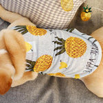 Pineapple Dog T-Shirt InfiniteWags 