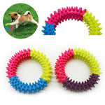 Circle Rubber Dog Chew Toy