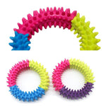 Circle Rubber Dog Chew Toy InfiniteWags 