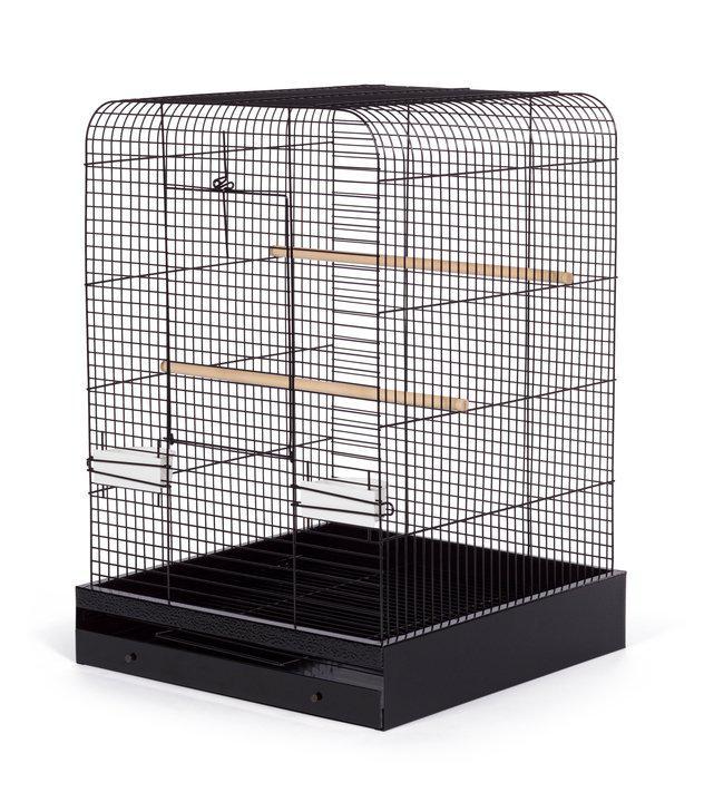 Parakeet, Cockatiel, Conure Bird Cage - Madison Bird Cage - 20" L x 20" W x 29" H - Prevue Hendryx Bird Cages Prevue Hendryx 