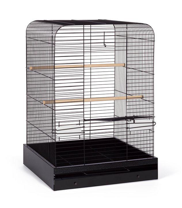 Parakeet, Cockatiel, Conure Bird Cage - Madison Bird Cage - 20" L x 20" W x 29" H - Prevue Hendryx Bird Cages Prevue Hendryx 