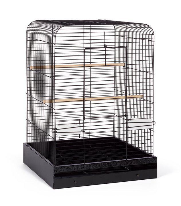 Parakeet, Cockatiel, Conure Bird Cage - Madison Bird Cage - 20" L x 20" W x 29" H - Prevue Hendryx Bird Cages Prevue Hendryx Black 
