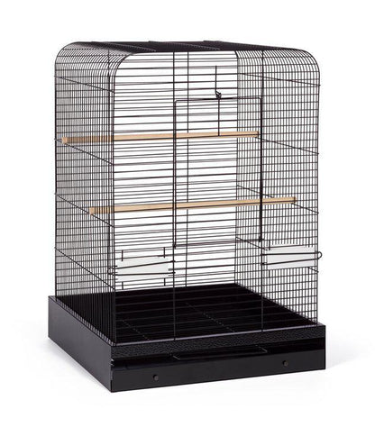 Parakeet, Cockatiel, Conure Bird Cage - Madison Bird Cage - 20" L x 20" W x 29" H - Prevue Hendryx Bird Cages Prevue Hendryx Black 