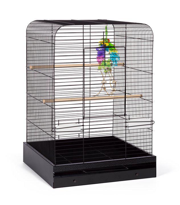 Parakeet, Cockatiel, Conure Bird Cage - Madison Bird Cage - 20" L x 20" W x 29" H - Prevue Hendryx Bird Cages Prevue Hendryx 
