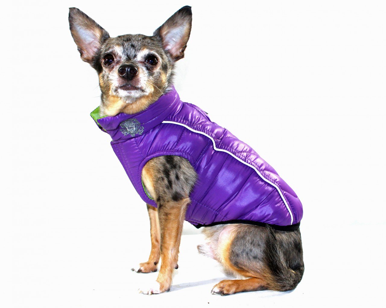 Reversible Winter Dog Jacket - Hip Doggie Featherlite Reversible-Reflective Puffer Vest Green/Purple Hip Doggie 