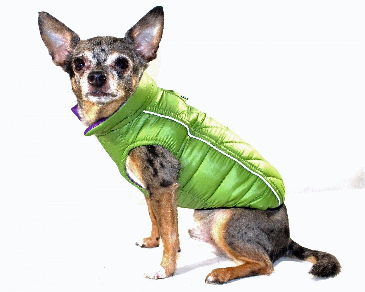 Reversible Winter Dog Jacket - Hip Doggie Featherlite Reversible-Reflective Puffer Vest Green/Purple Hip Doggie 